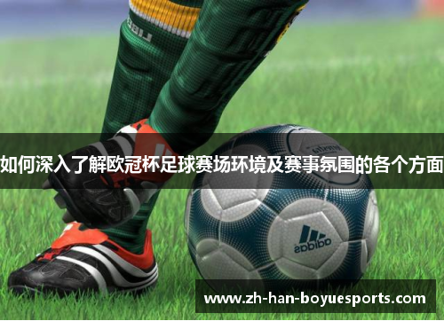 如何深入了解欧冠杯足球赛场环境及赛事氛围的各个方面